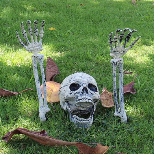 Realistic Halloween skull decoration with bone finish