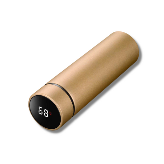 Smart stainless steel thermos bottle with LED temperature display