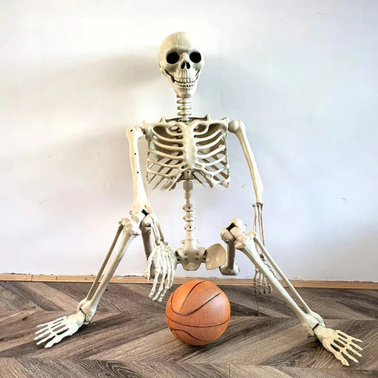 Life-size 67 inch full body skeleton Halloween decoration with posable joints